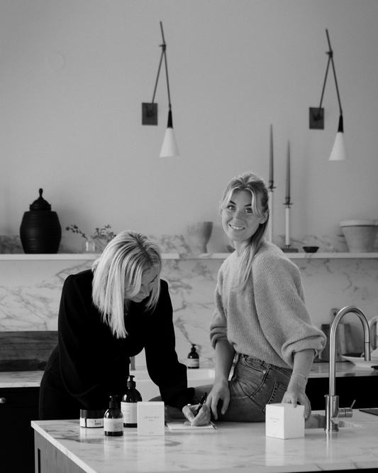 THE NEW MUSES, INTERVIEW WITH LOVISA HAHN FALKMAN