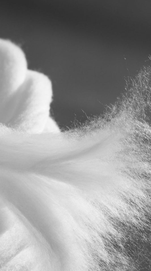 We chose something softer than cotton.